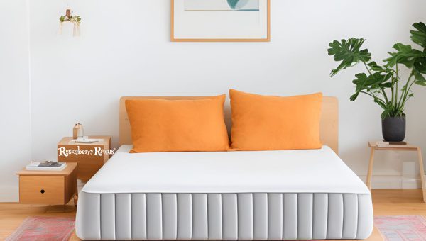 Pricing And Value For Money