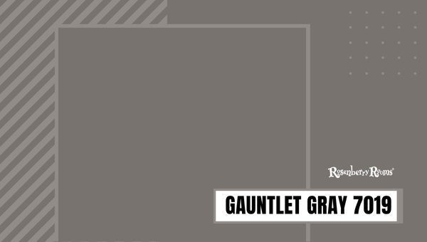 Gauntlet Gray 7019