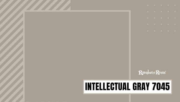 Intellectual Gray 7045