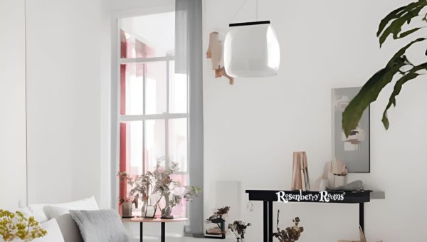 Is Sherwin Williams Alabaster Popular