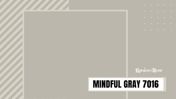 Mindful Gray 7016
