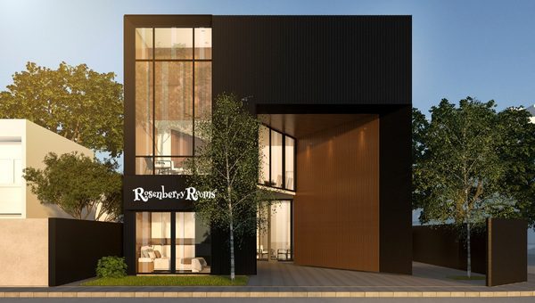 The Undertones Of Tricorn Black