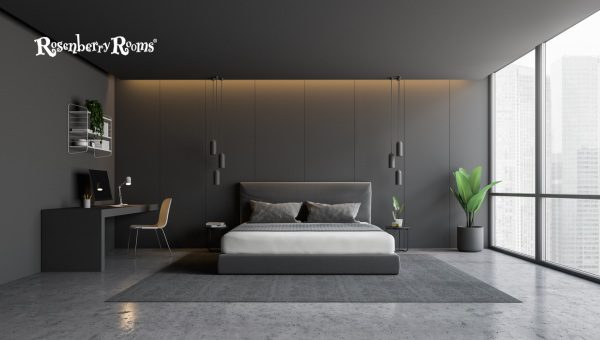 Benjamin Moore Trout Gray: Interior or Exterior?