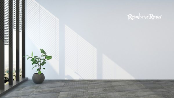 Best Trim Colors with Reflection SW 7661