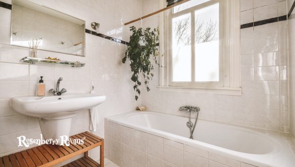 Coordinating Colors of Divine White SW 6105