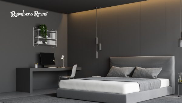 Has Trout Gray Gained Popularity as a Paint Color Choice?