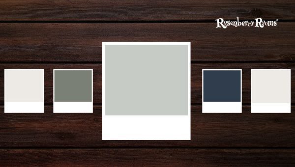 Sherwin Williams Sea Salt 6204