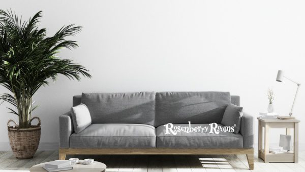 Coordinating Colors with Sherwin Williams Extra White