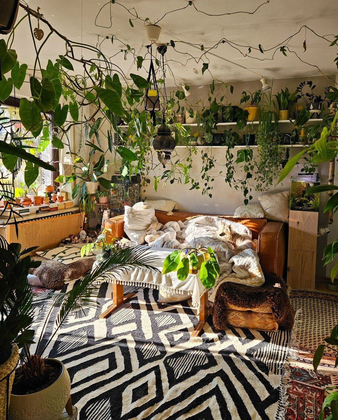 Hang Plants Like a Pro: 2025 Ceiling Magic Guide 3 word image 39658 4