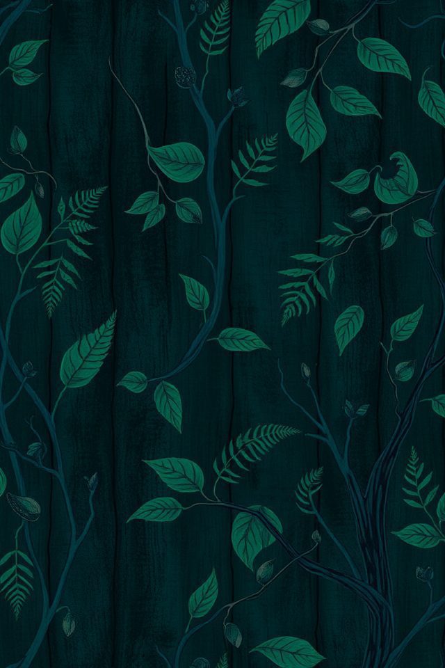 enchanting dark forest wallpapers