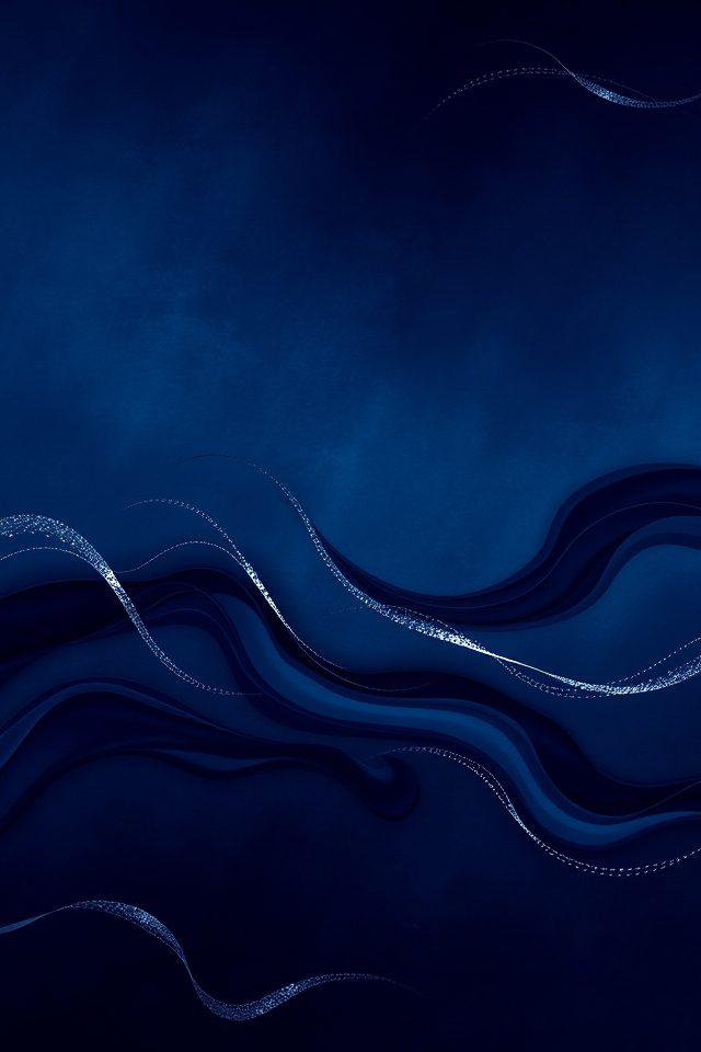 timeless navy blue elegance