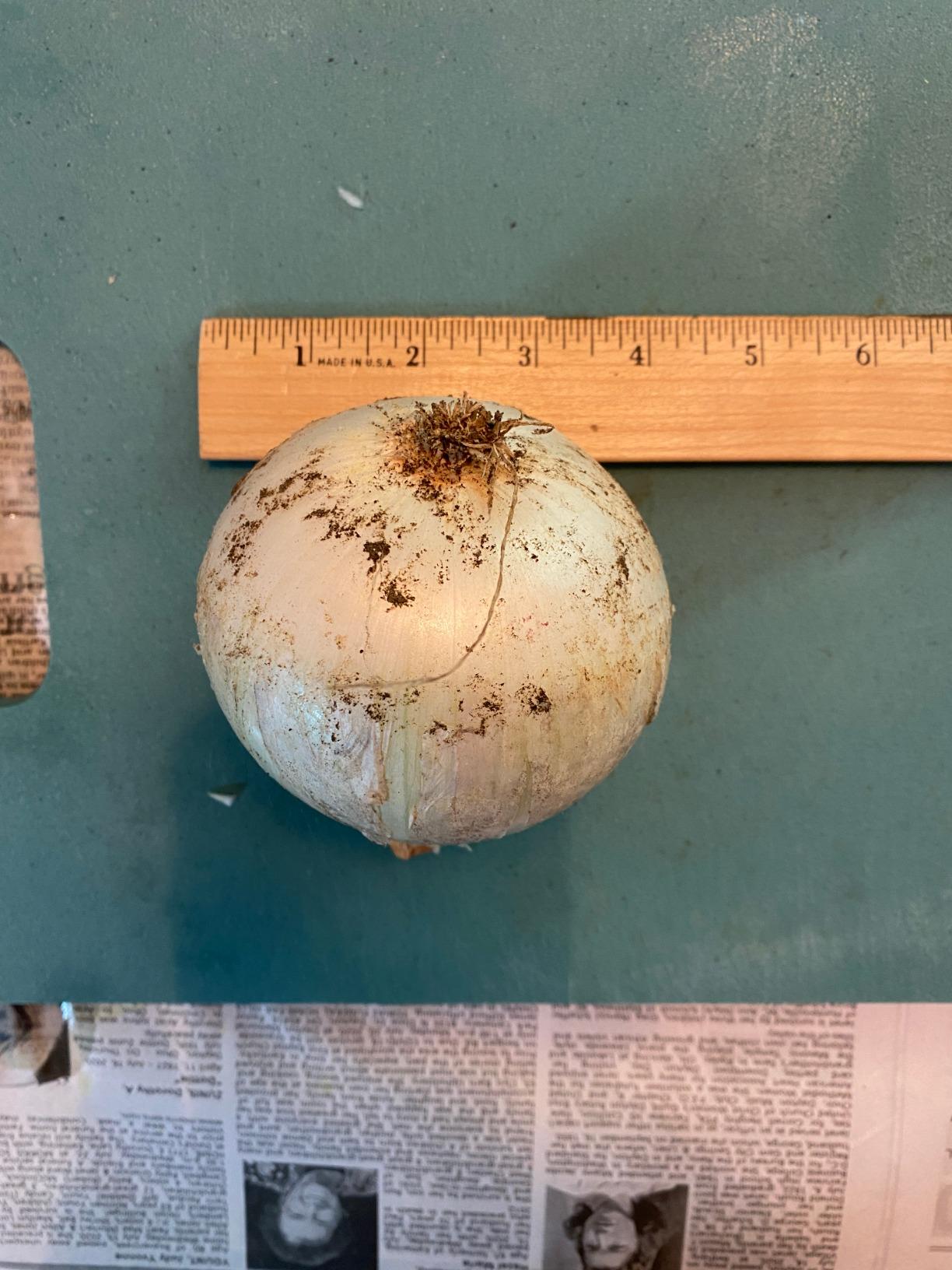 B01CT63964 Customer Photo 2