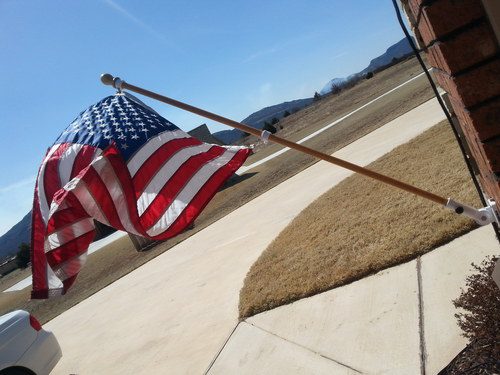 Evergreen Flag 56