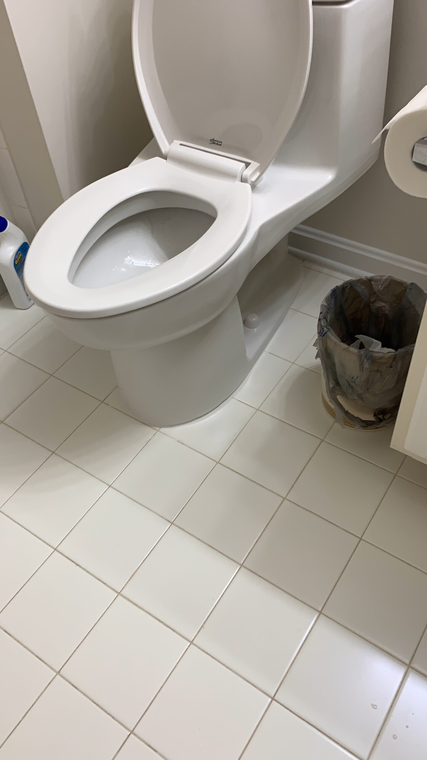 American Standard 2004314.020 Champion 4 One-Piece Toilet with Toilet Seat, Elongated Front, Standard Height, White, 1.6 gpf - Customer Photo 1