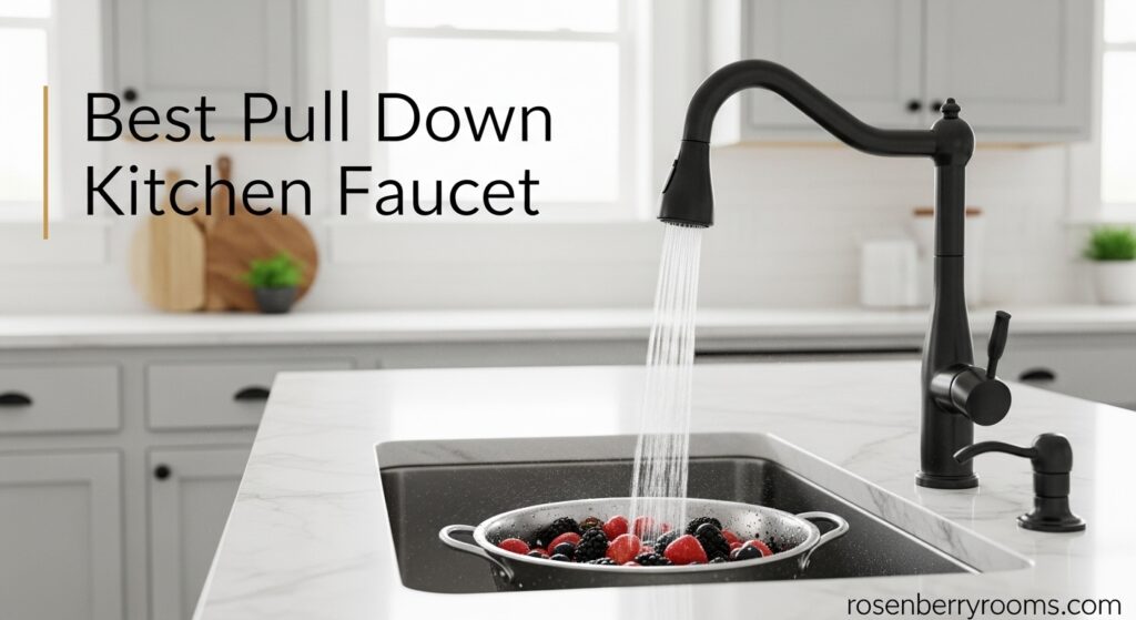 Best Pull Down Kitchen Faucet
