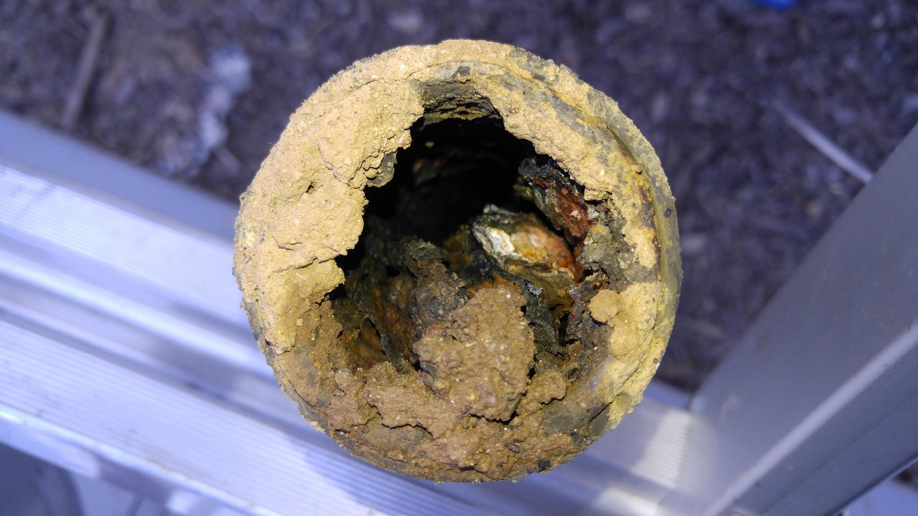 Drain King 186 Unclogs Bathroom Sinks, Showers, and Swimming Pool Drains, 1.5 to 3 Inch - Customer Photo 1