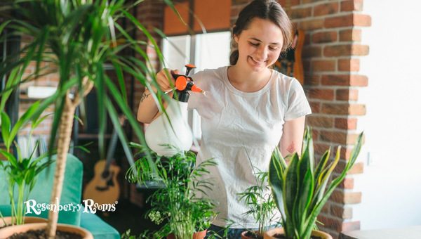 Crafting a Consistent Watering Routine