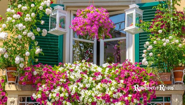 Cultivating Flowers in a Small-scale Urban Garden