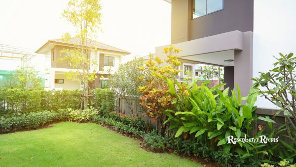 Green Living Features