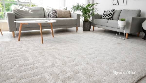 Neutral Harmony: Opting for Neutral Rugs and Carpets