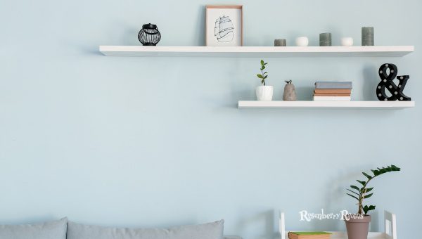 Shelving Splendor: Adding a Wall of Storage