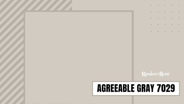 Agreeable Gray 7029