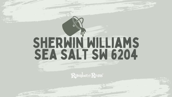 Sherwin Williams Sea Salt SW 6204