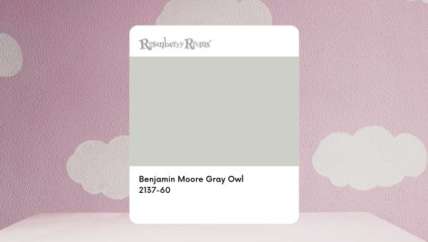 Benjamin Moore Gray Owl 2137-60