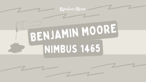 Benjamin Moore Nimbus 1465