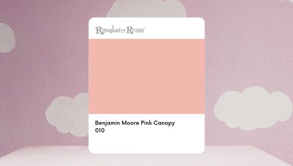 Benjamin Moore Pink Canopy 010