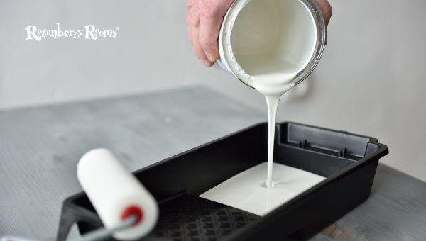 Paint Tray & Liners