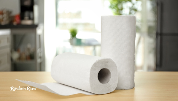 Rustic Paper Towel Roll Coop