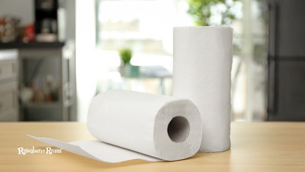 Rustic Paper Towel Roll Coop