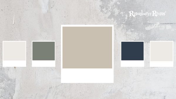 Sherwin Williams Accessible Gray SW 7036