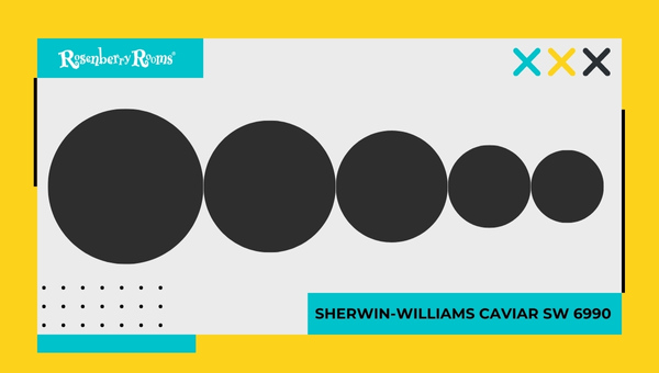 Sherwin-Williams Caviar SW 6990