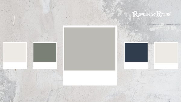 Sherwin Williams Light French Gray SW 005