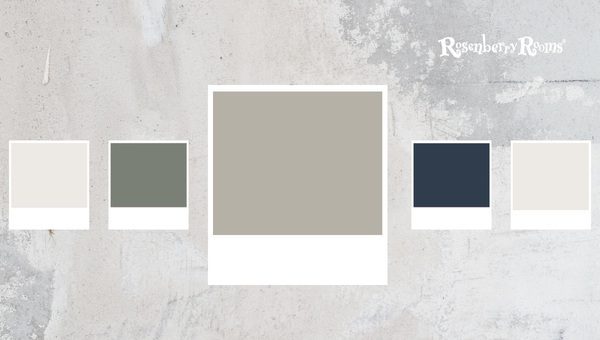 Sherwin Williams Mindful Gray SW 7016