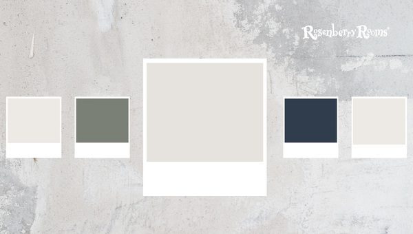 Sherwin Williams Snowbound SW 7004