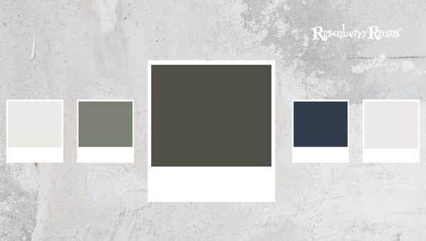 Sherwin Williams Urbane Bronze SW 7048