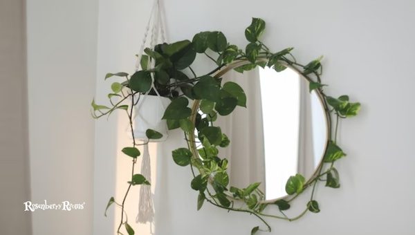 Whitewashed Mirrors with Eucalyptus Wreath