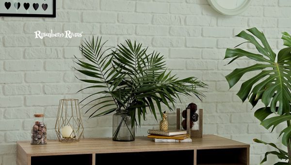 Complementary Decisions: Choosing Trim Colors