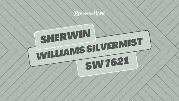 Sherwin Williams Silvermist SW 7621
