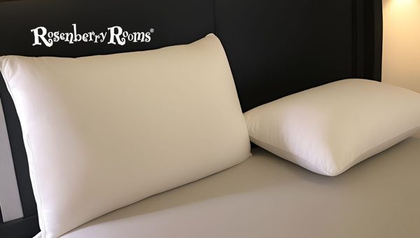 Brooklyn Bedding Talalay Latex Pillow