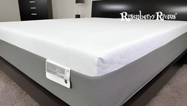 Dreamfoam Bedding Gel Memory Foam Mattress