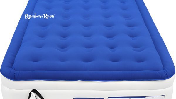 EnerPlex Air Mattress With Built-In Pump