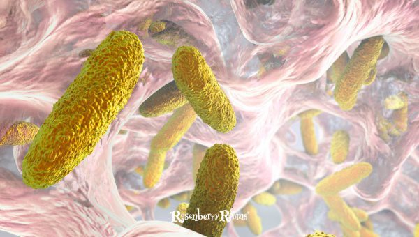 What Causes a UTI?