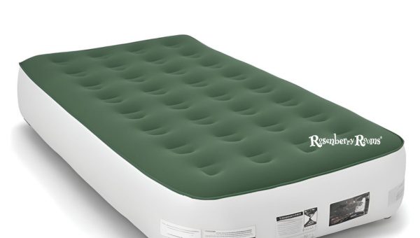 Zearna Air Mattress with Built-in Pump