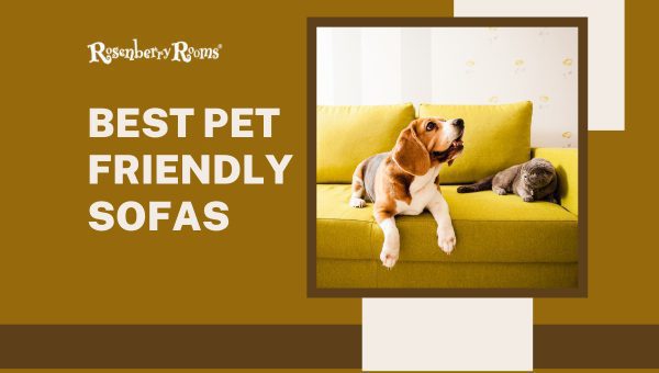 Best Pet Friendly Sofas