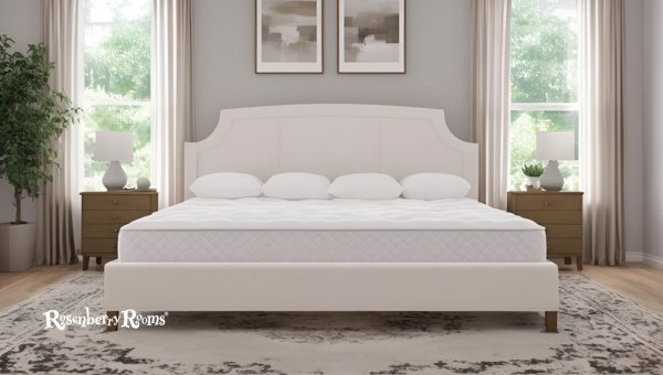 Big Mattress Premier Texas King Bed