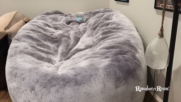 Is Lovesac Worth It?